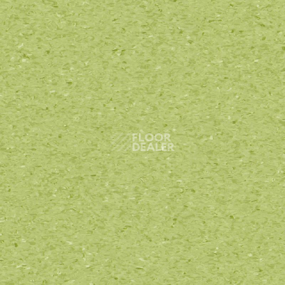 Линолеум Tarkett iQ Granit SOFT KIWI 0750 фото 1 | FLOORDEALER